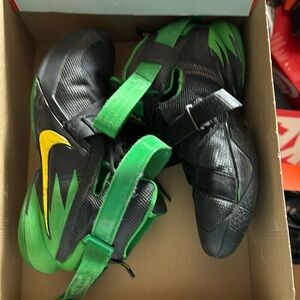 Lebron Oregon sneakers